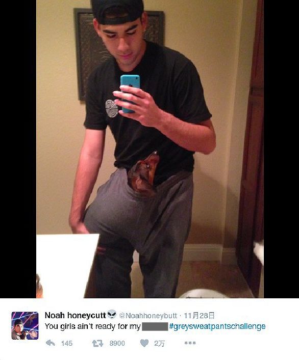 卡羅爾 视频截图