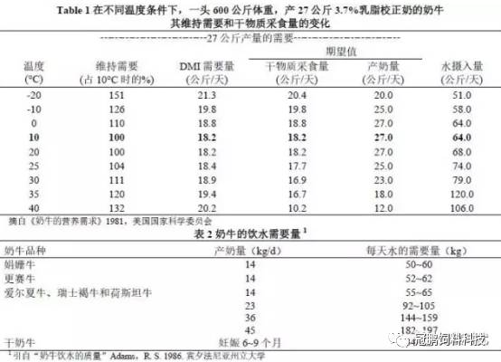 古寶奇緣 视频截图