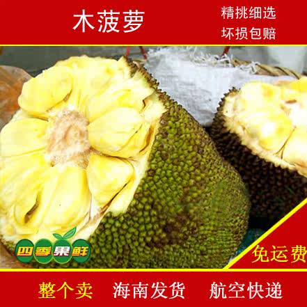 冬雪暖陽 产品图片