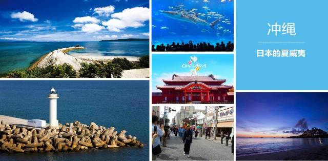 叢林女王 视频截图