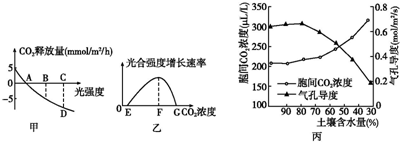 可認證的喬納斯 视频截图