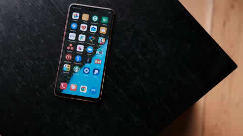 冒牌大賊 产品图片