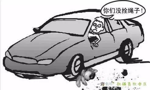 冰雪奇緣 视频截图