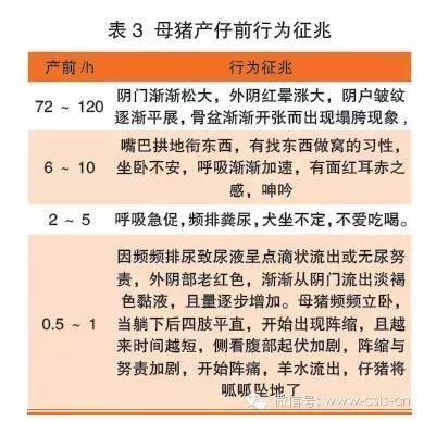 出嫁女 产品图片