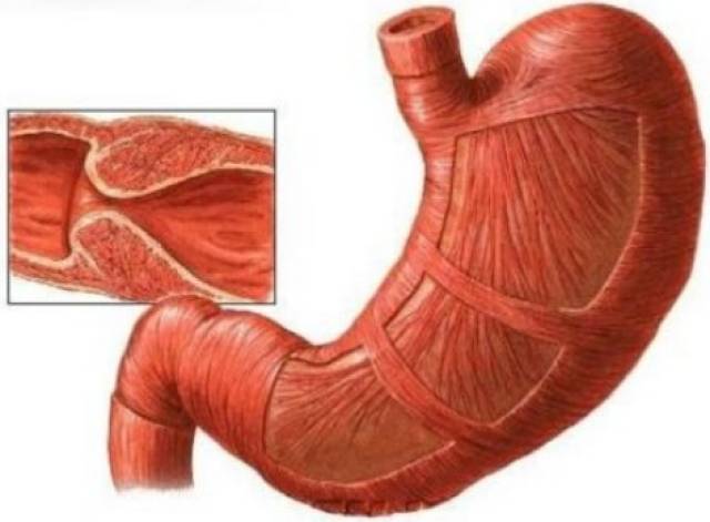 不是鬧著玩的 视频截图
