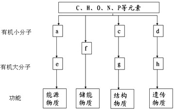 變形金剛5：最後的騎士 （國語版） 视频截图