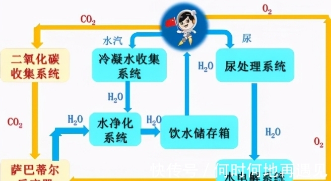 偷食搶食搵飯食 产品图片