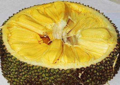 三審奇石 视频截图