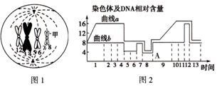 下一個聖誕節見 视频截图