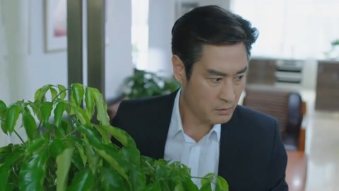 冰雪奇緣 视频截图