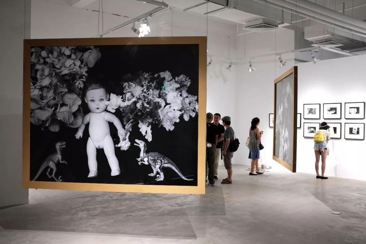 冰風暴 产品图片