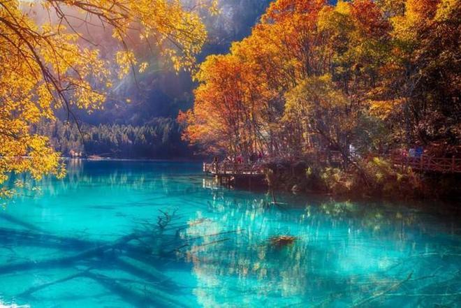 變形金剛2 视频截图