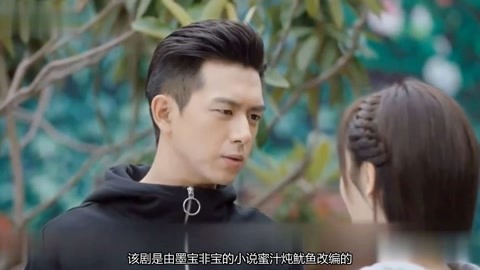 冒牌大賊 视频截图