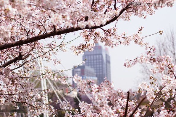 叛廚風暴 视频截图