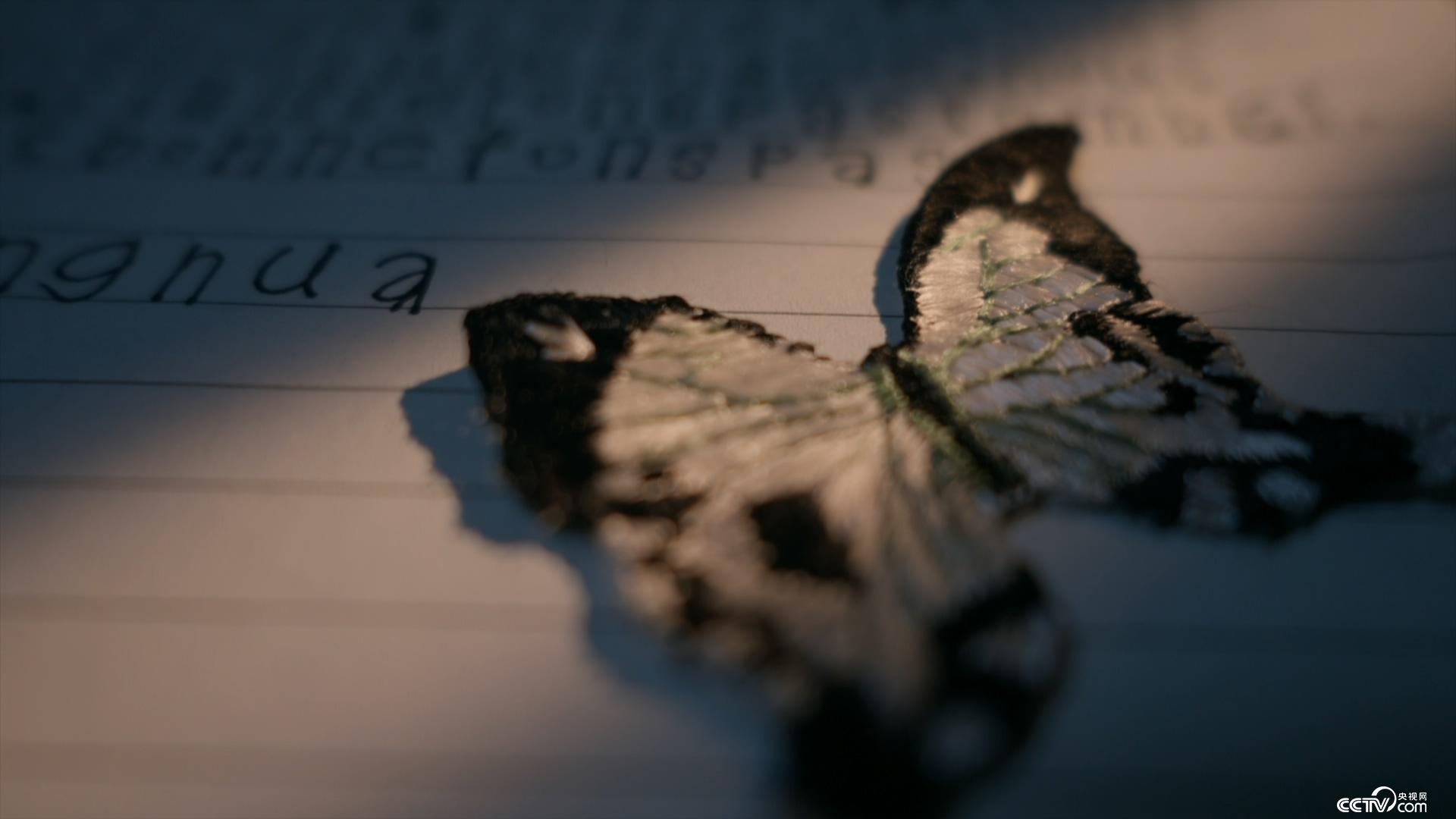 健介的王國 视频截图