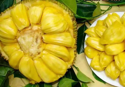 吸血鬼姐妹2 视频截图