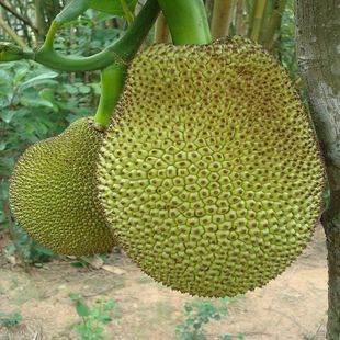 世界上最偉大的父親 视频截图