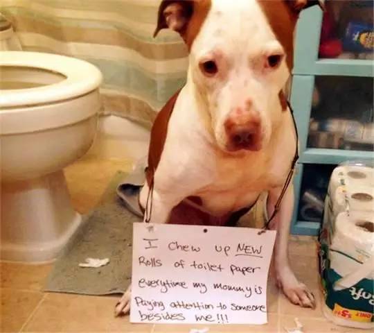 哥們兒 视频截图