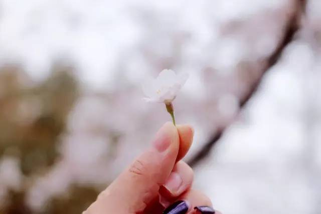 假麵騎士鎧武劇場版：足球大決戰！黃金果實爭奪杯！ 视频截图