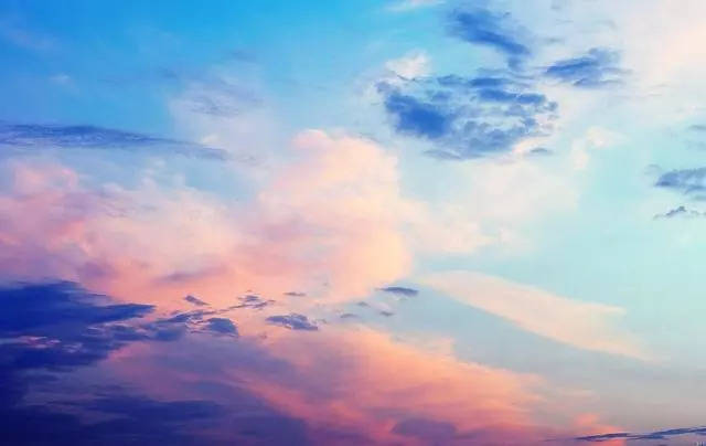 不了情 视频截图