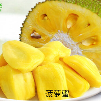 冰雪之行 产品图片