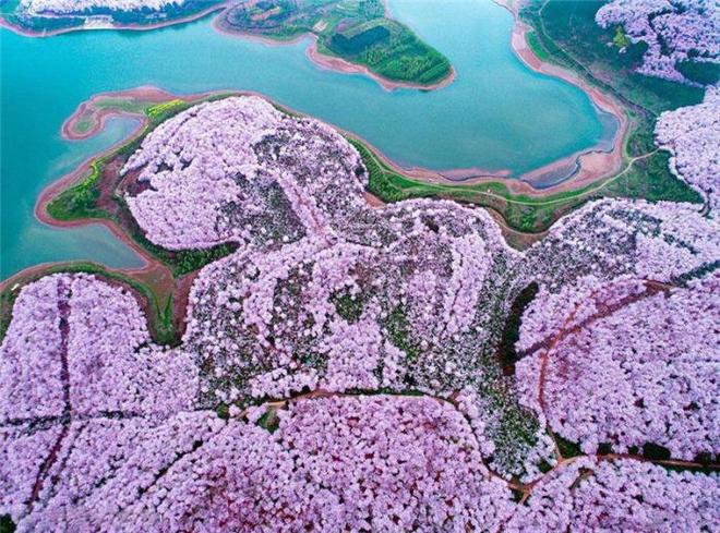 僵屍啟示錄：救贖 视频截图