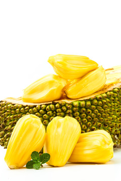 上帝未死5 视频截图