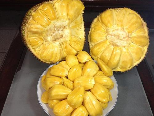 東德時尚往事 视频截图