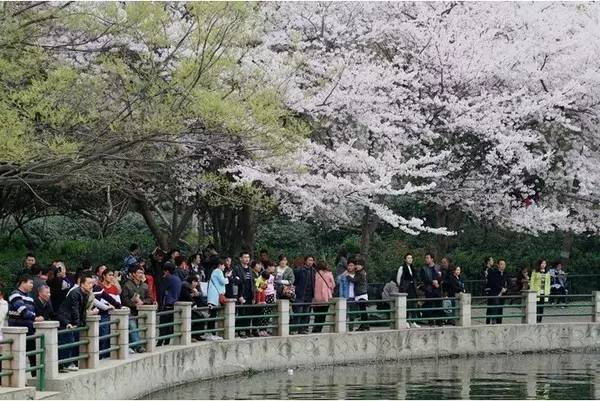 凱多湖的消失 视频截图