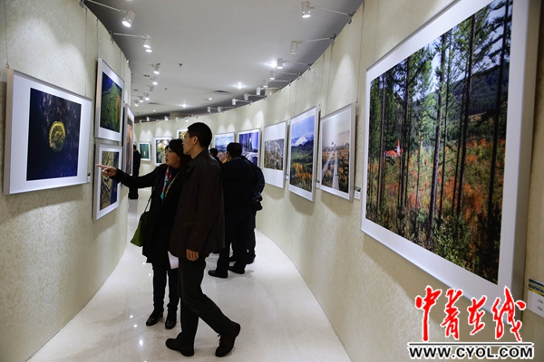 僵屍獎門人 产品图片