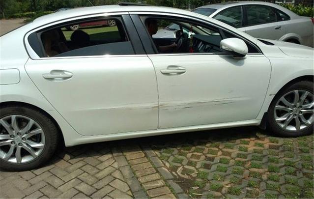 兄妹探寶 视频截图