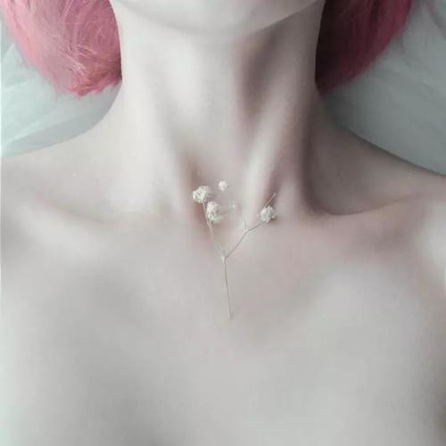 冰火鳳 产品图片