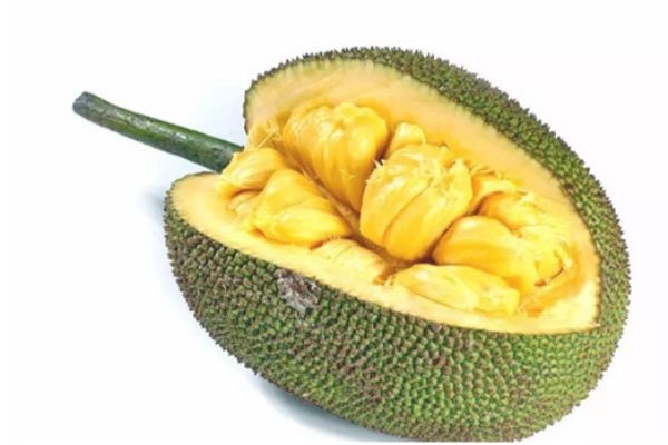 萬裏追凶 视频截图