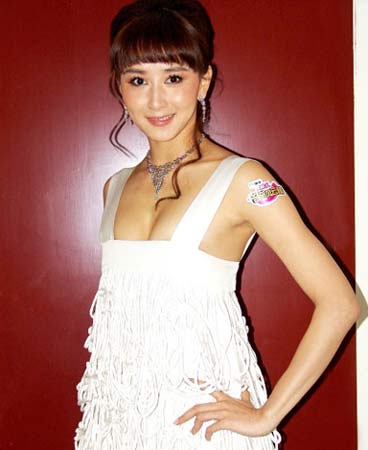 凱旋門 产品图片