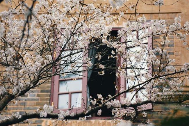 台北過手無暝無日 视频截图