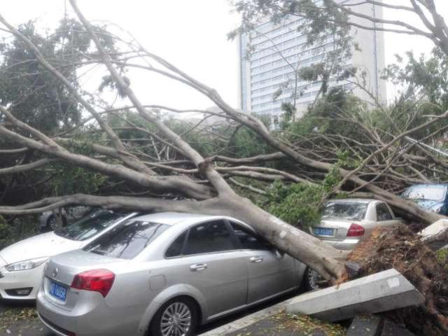 四月一日靈異事件簿：春夢記 前篇 视频截图