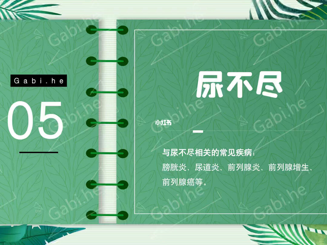 冰河時代 产品图片