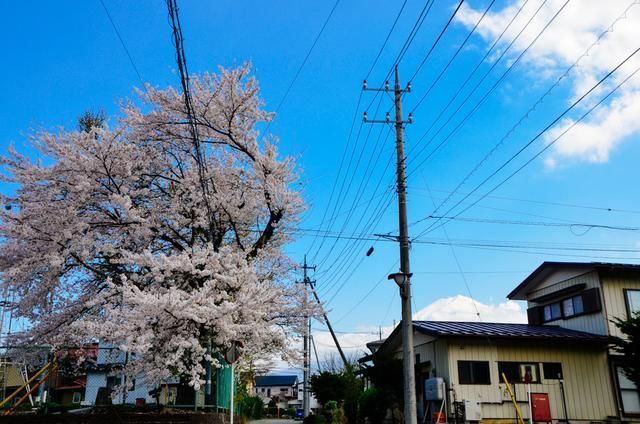 東北狠人沙猩猩 视频截图