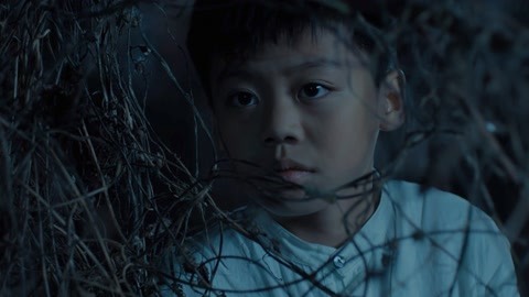 世紀之緣 产品图片