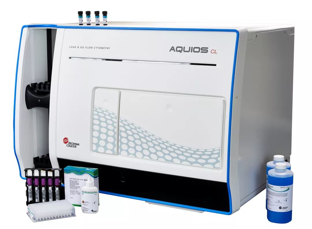 6級暴逃 下（國語版）