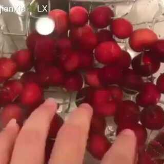 僵屍怕怕 产品图片