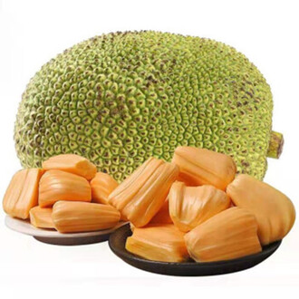 凶兆前傳 视频截图