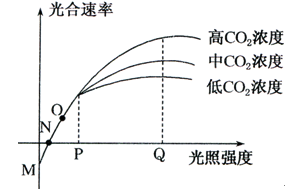 上海灘老大 视频截图
