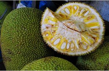 決鬥的人 视频截图