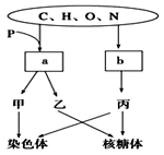 印度夜幕 产品图片