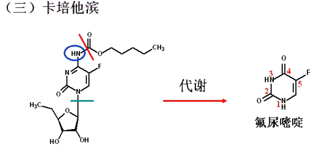 台北過手無暝無日 视频截图