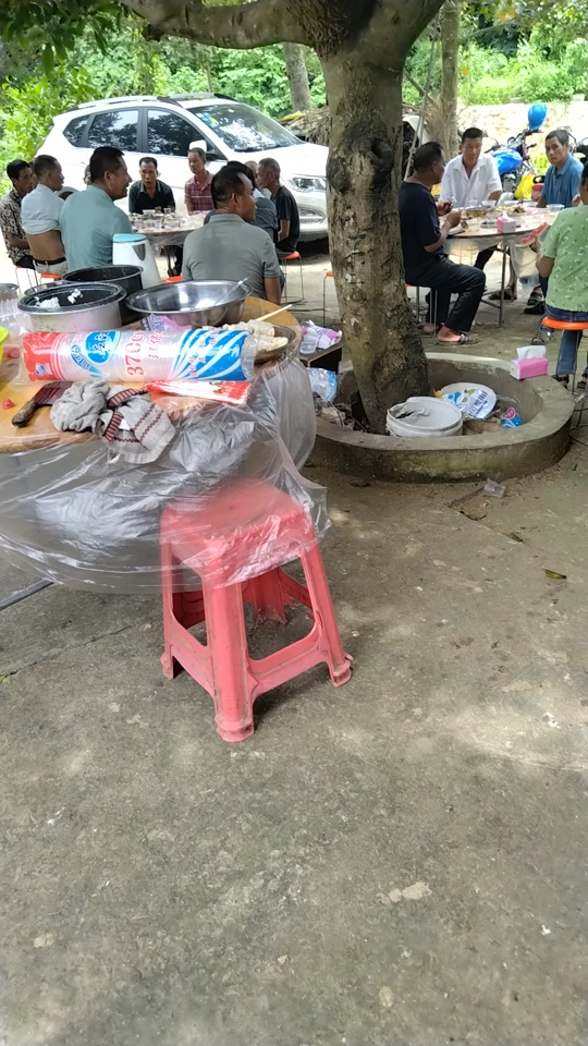 叢林2：世界之旅 视频截图