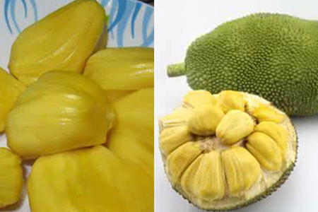 危情旅行 视频截图