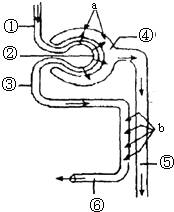 不羈夜2022 视频截图