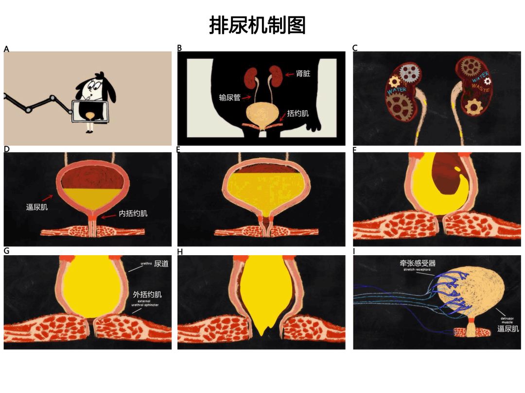 鳳凰街風雨 产品图片